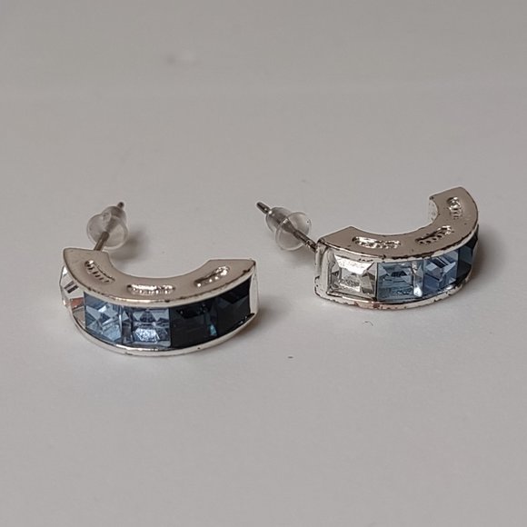 Multi Toned Blue Earrings - Picture 1 of 9